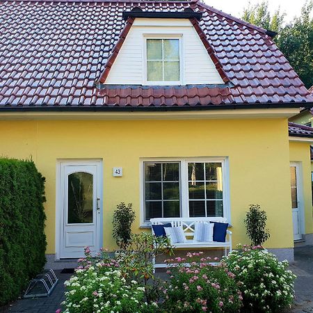 Am Deich 43 Villa Zingst Buitenkant foto